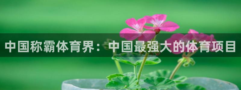 星欧娱乐扣款流程详解图片