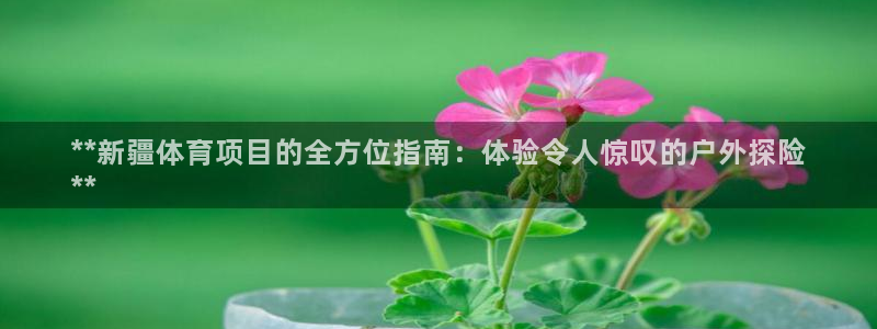 星欧娱乐24小时客服电话