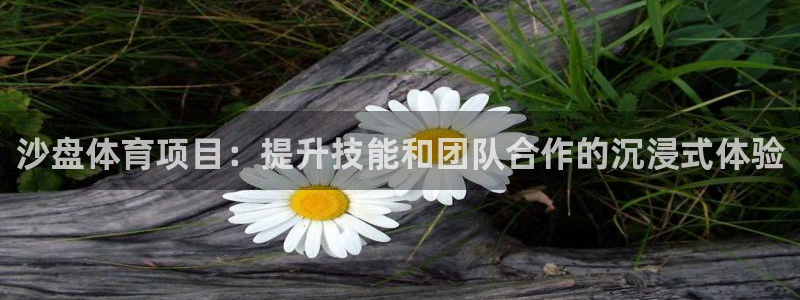 星欧娱乐平台怎么样
