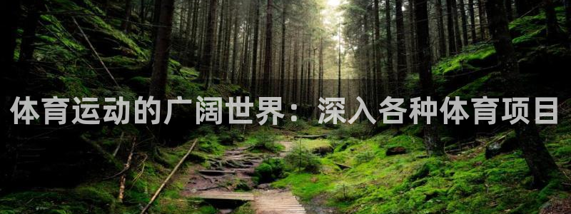 星欧娱乐扣款时间查询方法是什么