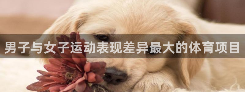 星欧娱乐公司简介