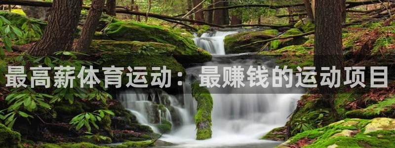 星欧娱乐的创始人背景故事