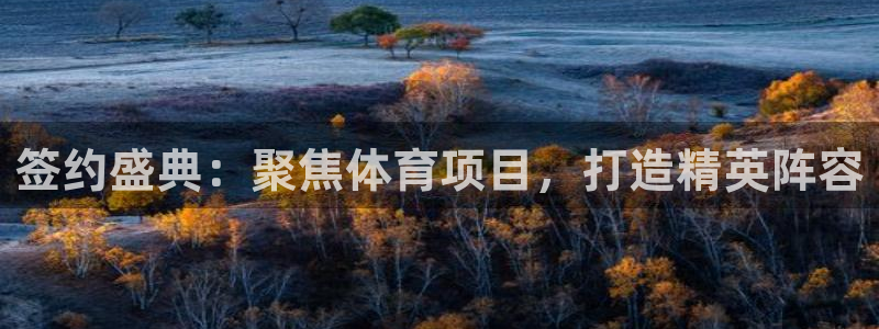 星欧娱乐信存手机版下载