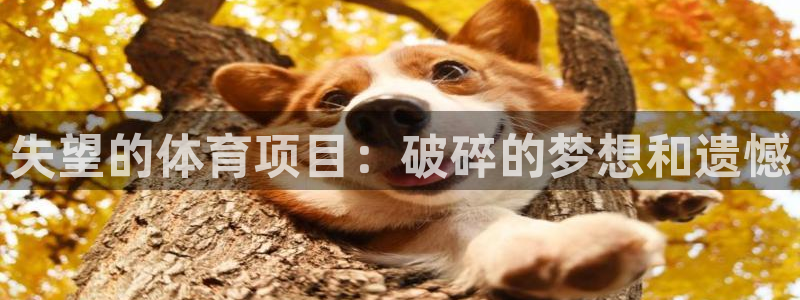 星娱乐online创作的原声
