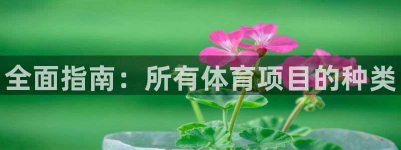星欧娱乐联最新新闻