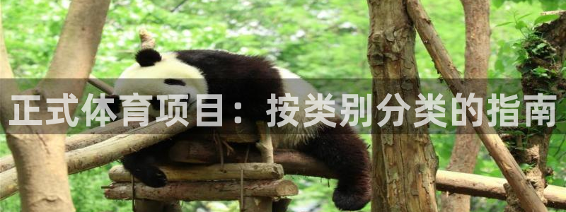 星游娱乐下载地址