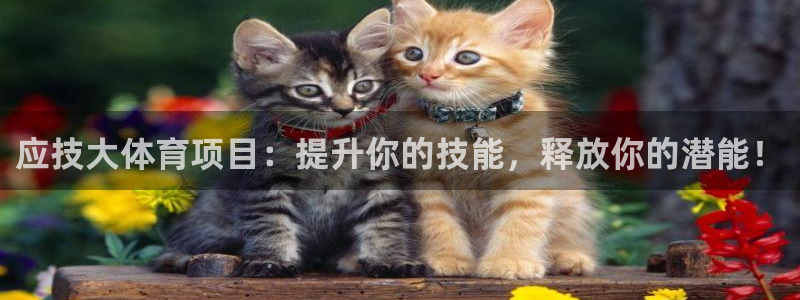 星欧娱乐24小时客服电话