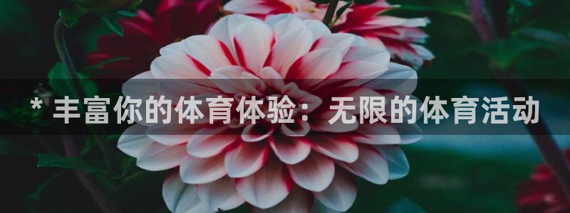 星欧娱乐巴711.112扣费记录查询方法