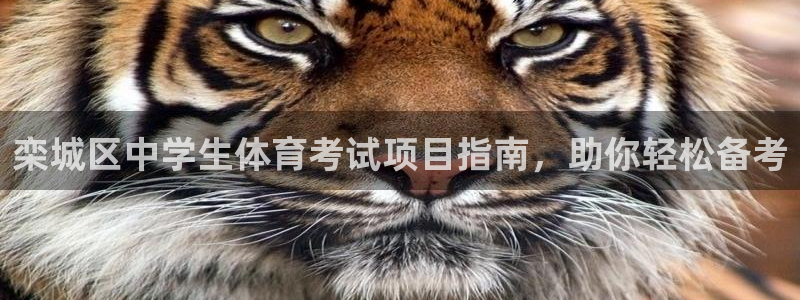 星欧娱乐平台怎么样