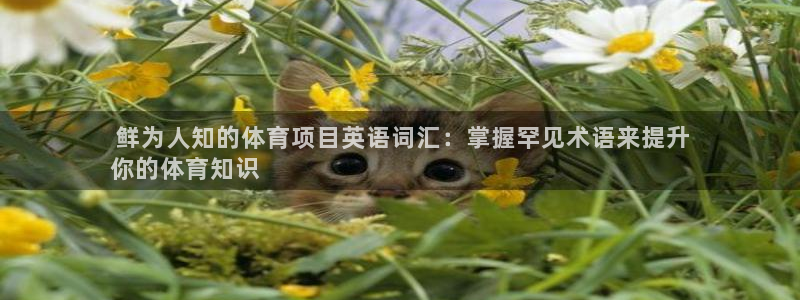 星欧娱乐扣款时间查询方法