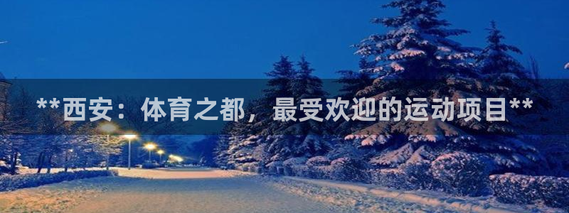 星娱乐文化传媒有限公司