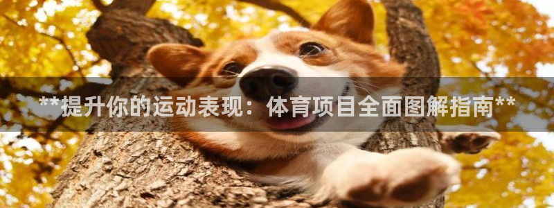 星奥娱乐微博