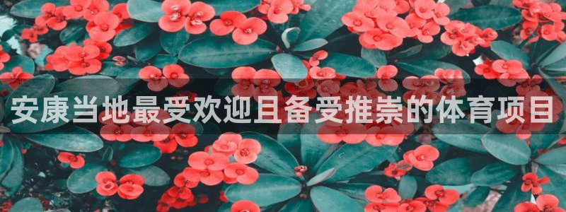 星欧娱乐联最新新闻