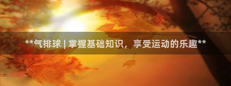 星欧娱乐扣款流程详解图高清