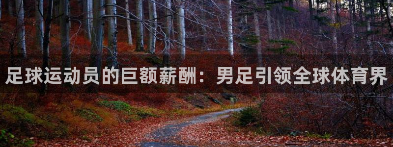 星欧娱乐公司简介
