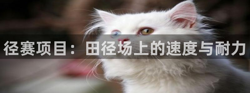 星欧娱乐平台怎么样知乎赚钱吗