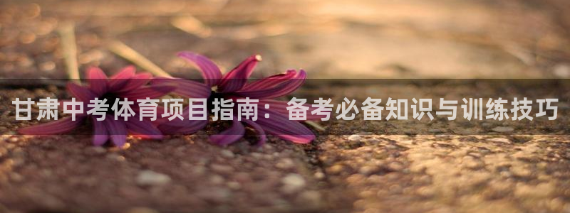 星欧娱乐扣钱步骤详解