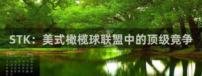 星欧娱乐联游戏评测