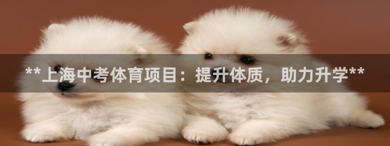 星欧娱乐平台怎么样知乎