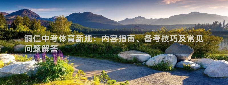 传奇星娱乐