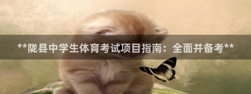 星欧娱乐公司电话号码查询