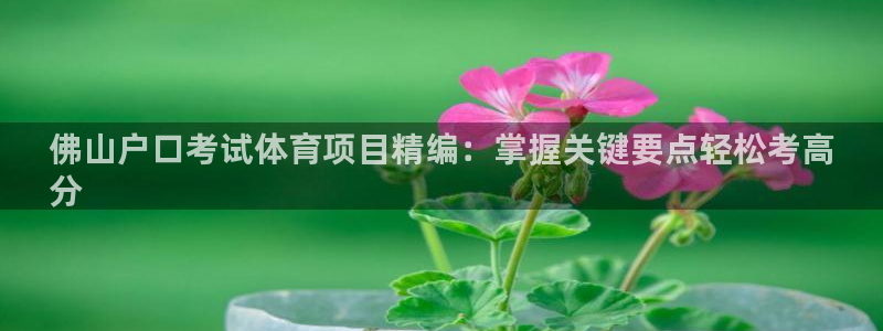 星欧娱乐扣款时间查询方法是什么意思