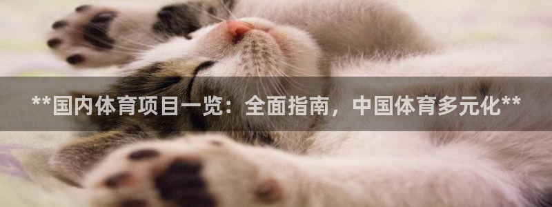 星欧娱乐最建议买的三个游戏