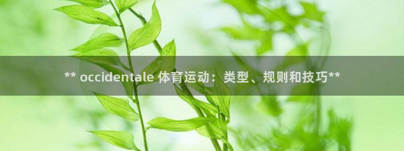 星欧娱乐的创始人背景故事是什么