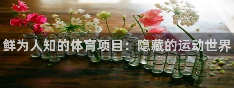 星欧娱乐扣款时间查询方法怎么查不到