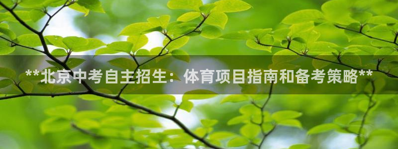 星欧娱乐属于什么档次的公司