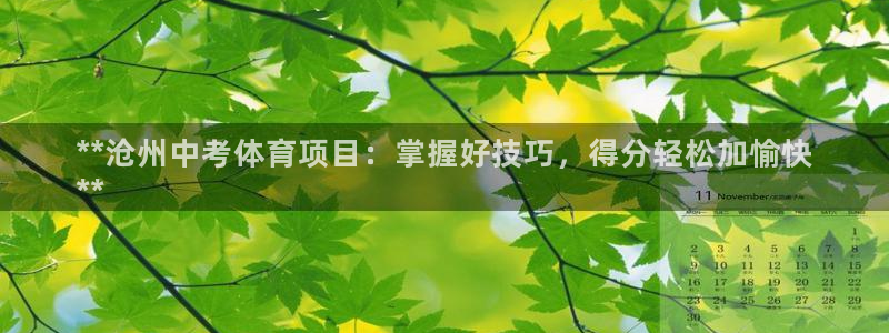 星欧娱乐扣费后解决方法
