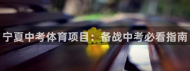 星欧娱乐挂机赚钱软件
