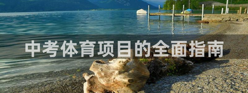 星游娱乐1官网下载