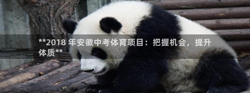 星欧娱乐最建议买的三个产品是什么
