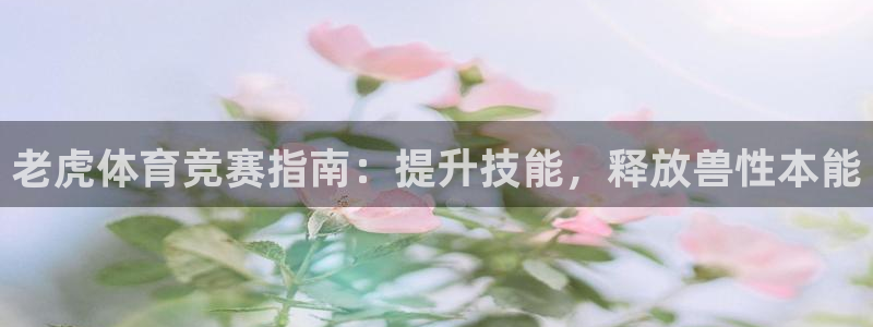 星欧娱乐是正规平台吗可靠吗