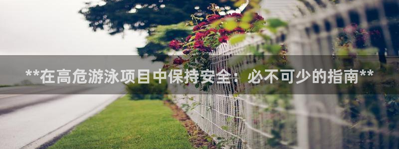 星娱乐是谁的公司