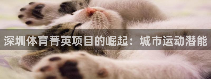 星欧娱乐游戏中心官网登录