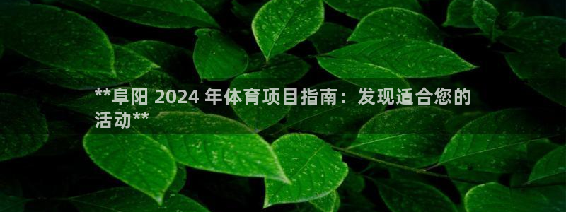 新星娱乐怎么开挂