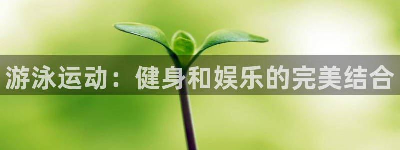 星欧娱乐平台测速线路怎么设置