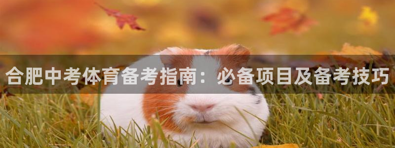 星欧娱乐最建议买的三个产品是什么