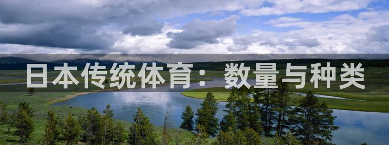 星奥娱乐集团股份有限公司招聘