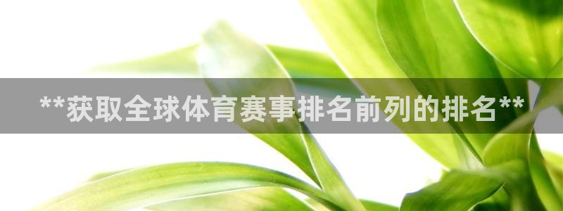 星欧娱乐联售后服务评价