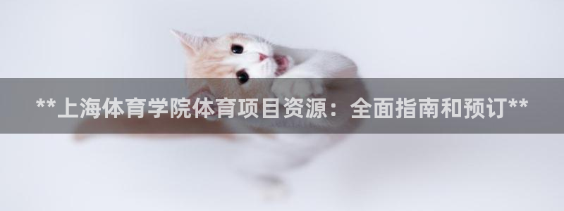 星欧娱乐最建议买的三个游戏