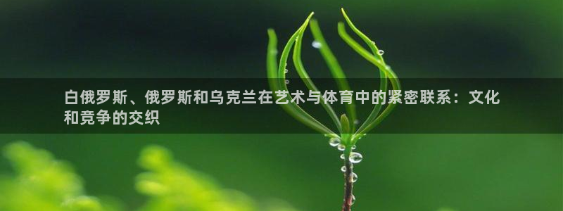 星欧娱乐app最新版本更新内容
