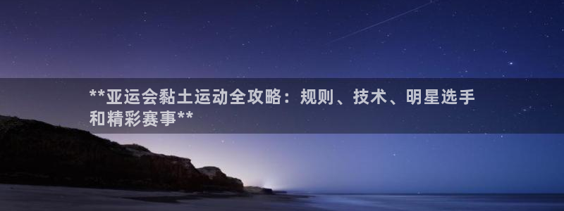 星欧娱乐扣款流程详解图