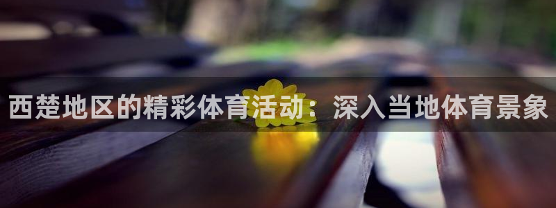 星欧娱乐扣款流程详解视频