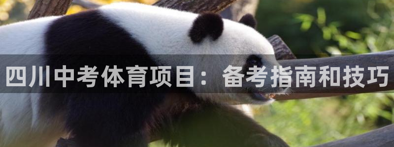 星欧娱乐是正规品牌吗