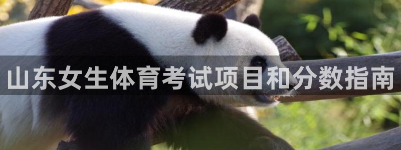 星欧娱乐是什么品牌