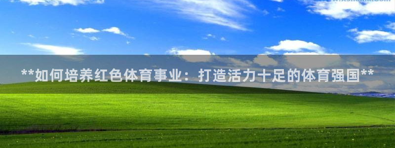 星娱乐online张译