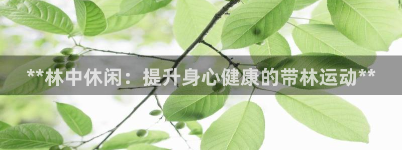 星欧娱乐平台地7O777